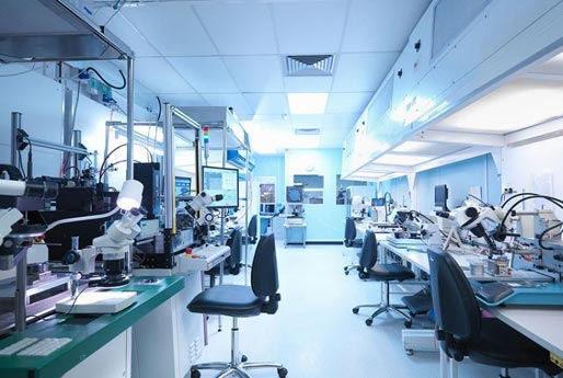 實力雄厚，人才輩出